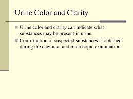 Ppt Examination Of Urine Powerpoint Presentation Free