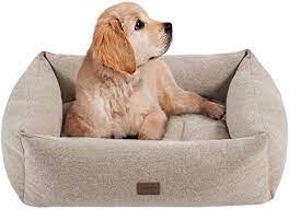 Maybe you would like to learn more about one of these? Amazon Com Martha Stewart Orthopedic Dog Lounge Sofa Removable Cover All Around Protection Four Sided Bolster Comfie Pet Beds Small Charlie Tan Home Kitchen