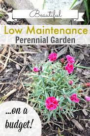 Low Maintenance Perennial Garden On A