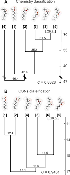 Functional Odor Classification Through A Medicinal Chemistry