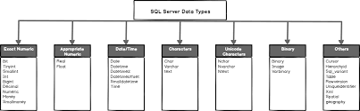 an overview of sql server data types