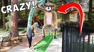 crazy mini golf match kelley vs