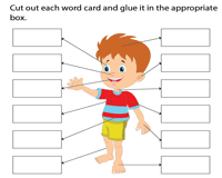 Students match the words to the correct pictures and complete the crossword. Parts Of The Body Worksheets