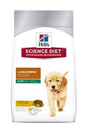 Hills Science Diet Large Breed Puppy Food Chicken Meal
