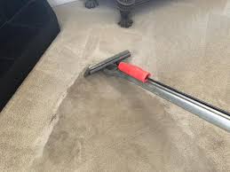 carpet cleaning across carpet