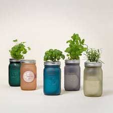 Mason Jar Indoor Herb Garden Hydroponic Grow Kit Uncommon Goods