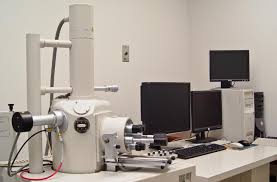 Scanning Electron Microscope Electron Microscope Encyclopedia Of