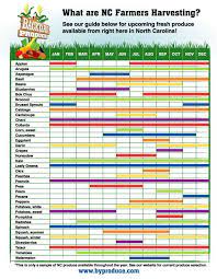 Vegetable Garden Planting Guide