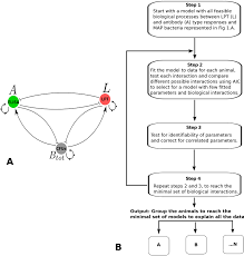 Model Cartoon And Model Selection Flowchart A Possible