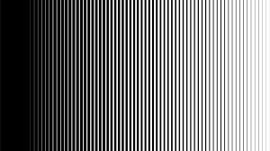 latest viral optical illusion has you