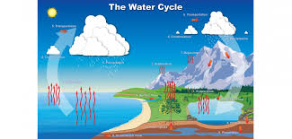 Water Cycle Colorado Water Knowledge Colorado State