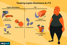 leptin rt3 and weight gain with