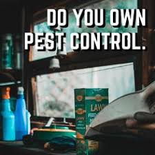 Find out why we are the #1 rated phoenix pest control service exterminator. Watchdog Pest Control Watchdogpestcontrol Profile Pinterest