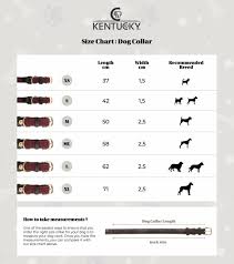Kentucky Dogwear Dog Collars