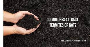 Does Cypress Mulch Attracts Termites Or