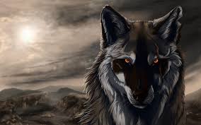 black wolf 3d wallpapers top free