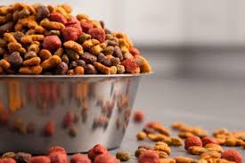 Histandard dog food | it's more than just the name of our dog food, it's the way we do business. as much as we love our pets, they don't always behave themselves. Best Dog Food For Great Danes Why You Should Be Careful When Feeding Your Dog The Jerusalem Post