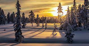 Winter Dawn Wallpapers Wallpaper Cave gambar png