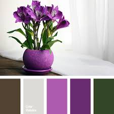 dark purple color color palette ideas