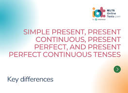 present perfect continuous tenses