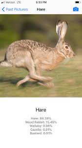 The images are either photographed directly in the field in the. The Animal Identifier App Actually Managed To Identify This Hare Rabbit Animalidentifier Animal App Identifier S Animal Pictures Animal Species Animals