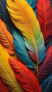 4k colorful feathers iphone 15