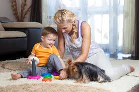 dry carpet cleaning southlake tx eco