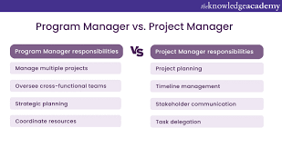 program manager vs project manager a