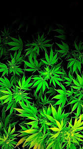 cool weed wallpapers top free cool