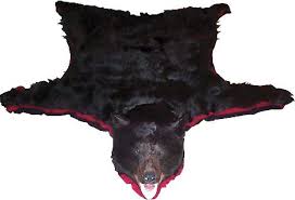 real fur rugs mounted taxidermy