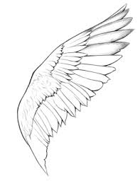 How To Draw Angel Wings Step By Step With Animation
