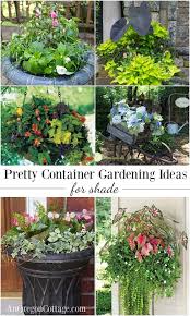 container gardening ideas for shade