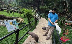 Kebun binatang yang mampu secara finansial membantu kebun binatang yang tidak mampu. Kebun Binatang Bandung Kembali Dibuka Untuk Umum Bisnis Com