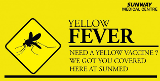 yellow fever vaccine