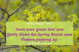 spring haiku poems to put a spring in