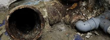 Top 7 Causes Of Sewer Damage