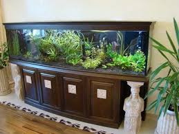 15 Ideas To Decorate Your Home With Aquarium - Always in Trend gambar png