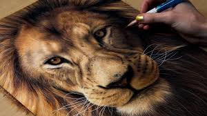 drawing a lion you