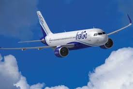 indigo s direct flights from lucknow to