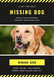 Missing cat reunites with his best friend. Free Printable Customizable Lost Dog Flyer Templates Canva