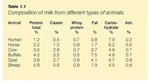 What Is The Difference Between Human Milk And Cow Milk Quora