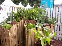 Eco Gardening Secrets From Africa My