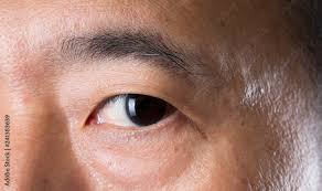 closeup macro portrait of man eye