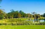 Oak at Beau Chene Golf & Racquet Club in Mandeville, Louisiana ...