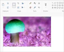 Image Color In Word Excel