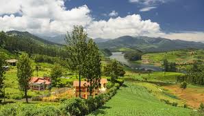 23 ooty hill station packages