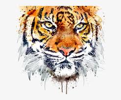 tiger face png image hd transpa png
