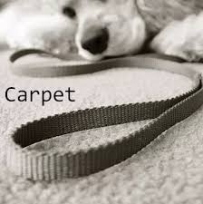 carpet cleaning service for bettendorf