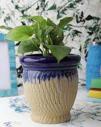 blue gardening planters for home