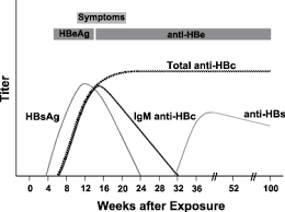 Hbc Igm Anti Hepatitis B Core Igm Newfoundland